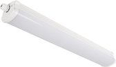 HQ T8BATTEN02 Led Tl 600 Mm 22 W 2700 Lm Ip65 4000 K