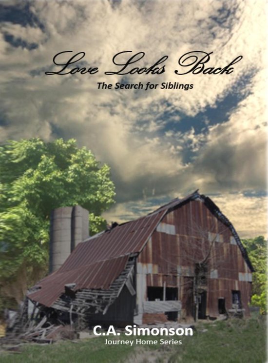 Journey Home Seris 2 - Love Looks Back - cover