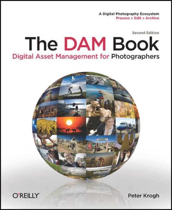 The DAM Book 2e - cover