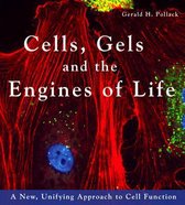 Cells, Gels & the Engines of Life