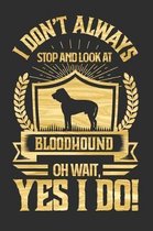 I Don't Always Stop and Look At Bloodhound OH Wait, Yes I Do!