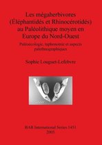 Les megaherbivores (Elephantides et Rhinocerotides) au Paleolithique moyen en Europe du Nord-Ouest