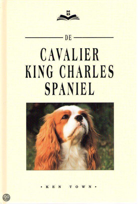De Cavalier King Charles Spaniel - Ken Town | Warmolth.org