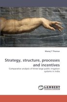 Strategy, Structure, Processes and Incentives