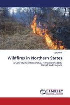 Wildfires in Northern States