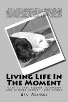 Living Life in the Moment