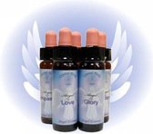 Crystal Herbs Angel of Harmony, Angel Essence (10 ml)