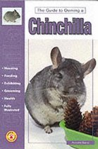 Guide to Owning a Chinchilla