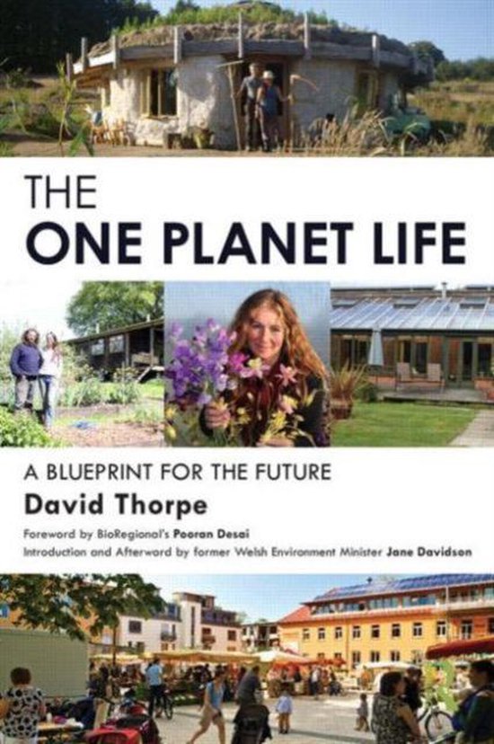 'One Life 9780415738552 David Thorpe Boeken bol