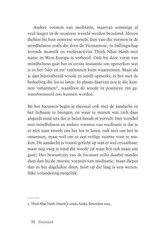Pagina met tekst over meditatie, mindfulness, en Thich Nhat Hanh. Pagina 38.