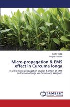 Micro-propagation & EMS effect in Curcuma longa
