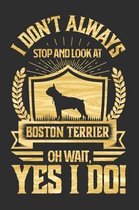 I Don't Always Stop and Look At Boston Terrier OH Wait, Yes I Do!