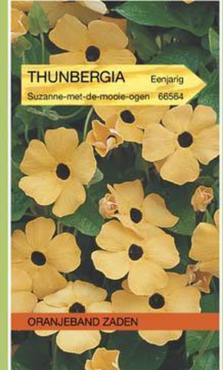 Oranjeband Zaden - Thunbergia, Suzanne-met-de-mooie-ogen