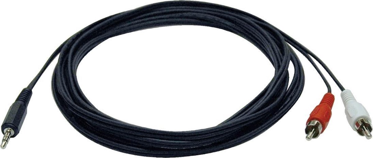Tripp Lite P314-012 audio kabel 3,66 m 3.5mm 2 x RCA Zwart