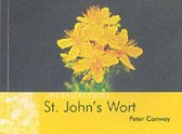 Understanding St. John's Wort
