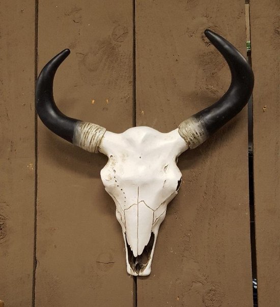 Decoratieve schedel skull stier 43 cm | bol.com