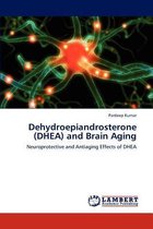 Dehydroepiandrosterone (DHEA) and Brain Aging