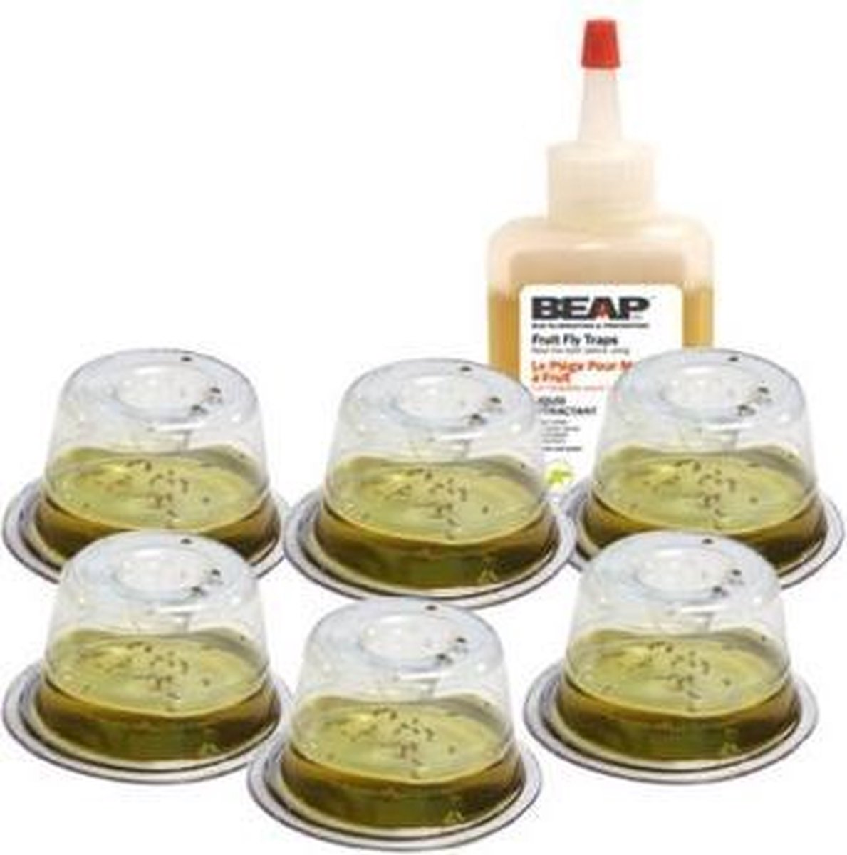 Beap fruitvliegen vallen 6 stuks | bol
