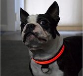 LED Verlichte Hondenhalsband - Rood - Maat M - Veilig voor je hond in het donker