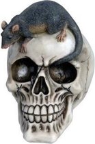 Schedel met een Rat beeld (groot 15 cm)