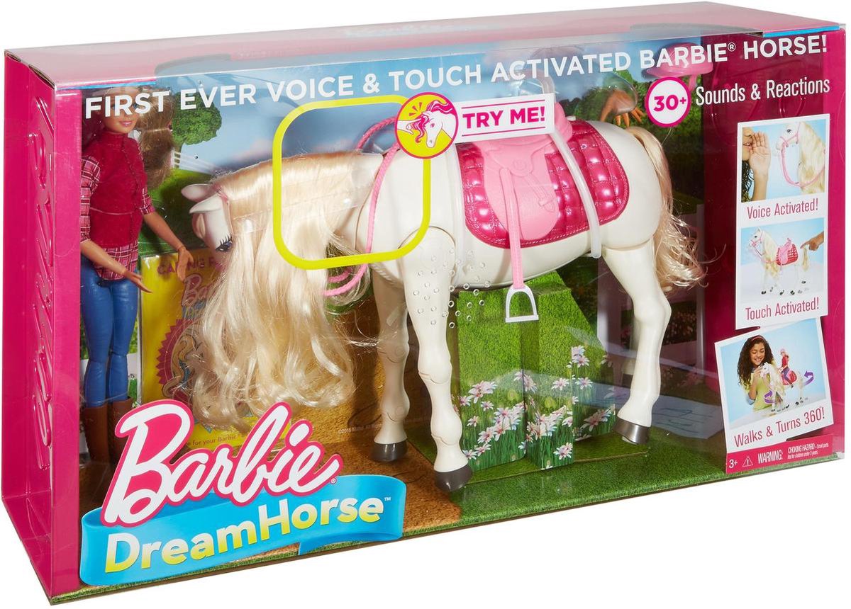 backup kool maandelijks Barbie met Droompaard - Barbiepop | bol.com