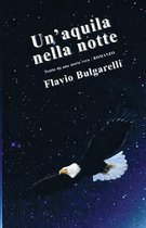 Un'aquila nella notte