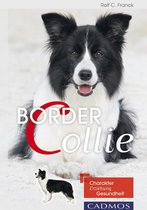 Hunderassen - Border Collie