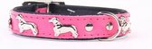 Dog's Companion - Leren halsband Teckel - Lengte: 35cm (28-34cmx16 mm), Kleur: Roze/Zwart