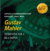 Uppsala Chamber Orchestra - Symphony No.1 (CD)