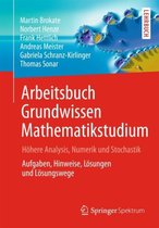 Arbeitsbuch Grundwissen Mathematikstudium - Hoehere Analysis, Numerik Und Stochastik