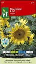 Zonnebloemzaden 'Sunspot' - Compacte Variëteit voor Potten en Kleine Tuinen