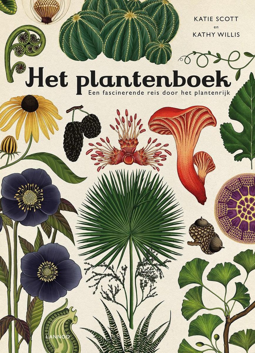 sensatie Ideaal Weven Het plantenboek | Games | bol.com