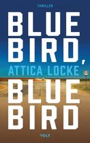 Highway 59 1 - Bluebird, bluebird