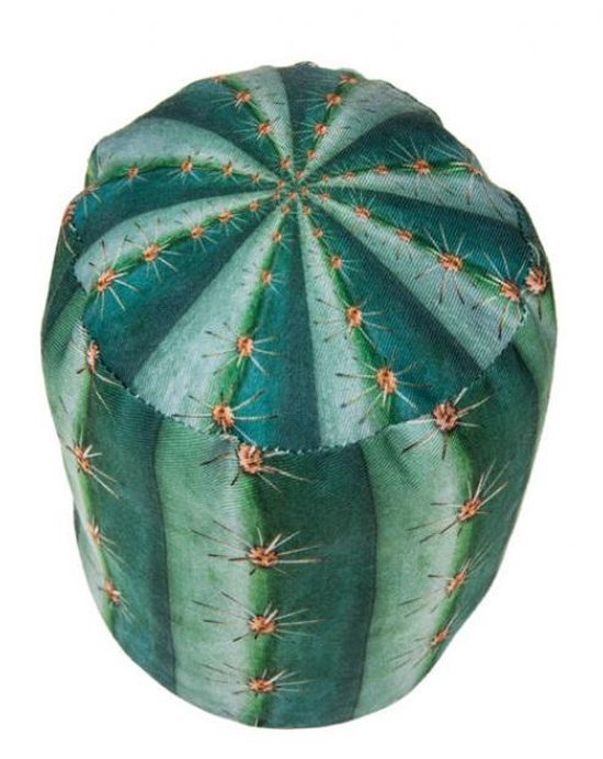 Deurstopper Cactus