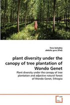 plant diversity under the canopy of tree plantation of Wondo Genet