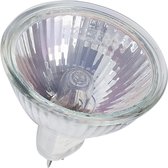 Prolight Halogeenlamp - 12V - 50W