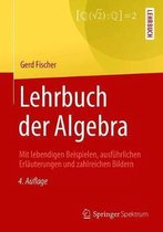 Lehrbuch Der Algebra: Mit Lebendigen Beispielen, Ausf�hrlichen Erl�uterungen Und Zahlreichen Bildern