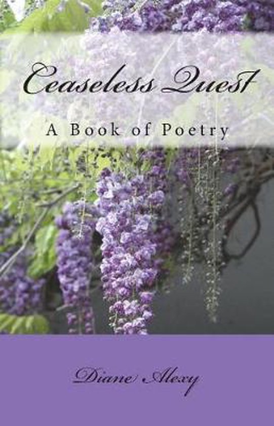 Ceaseless Quest