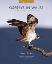Ospreys in Wales - the First Ten Years