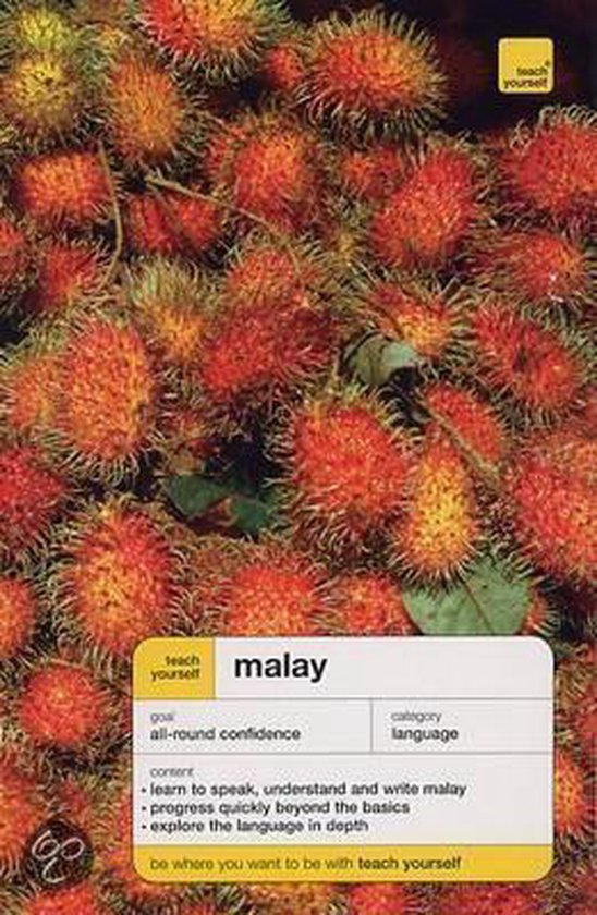 Teach Yourself Malay - cover