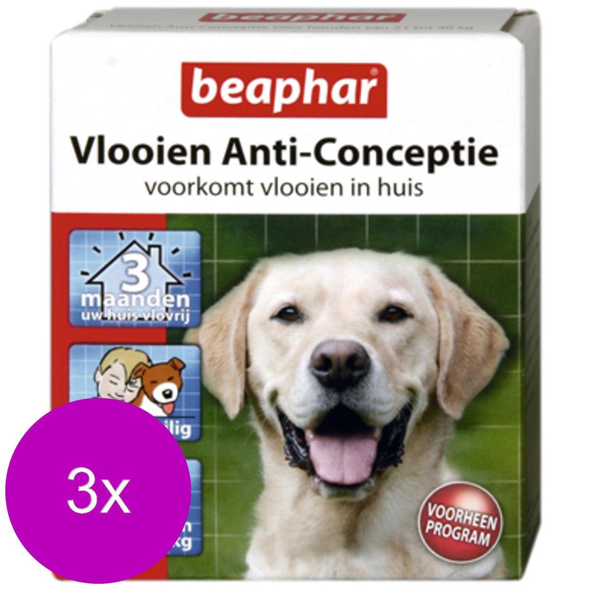 doden hier Kleuterschool Beaphar Vlooien Anti Conceptie Hond - Anti vlooienmiddel - 3 x Large Groot  | bol.com