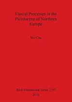 Fluvial processes in the Pleistocene of northern Europe