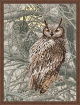 Riolis borduurpakket Eagle Owl 0038