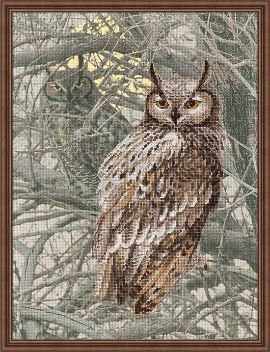 Riolis borduurpakket Eagle Owl 0038 | bol.com