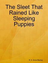 The Sleet That Rained Like Sleeping Puppies