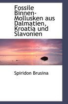 Fossile Binnen-Mollusken Aus Dalmatien, Kroatia Und Slavonien