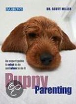 Puppy Parenting: An Expert Guide To What To Do And When To Do It