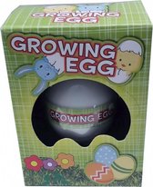 Easter growing egg