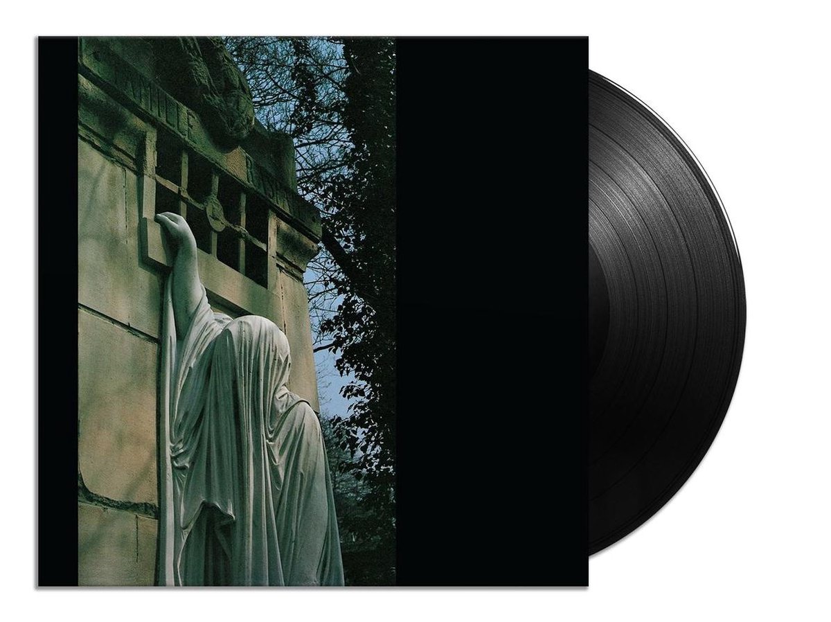 Within The Realm Of A Dying Sun (LP)