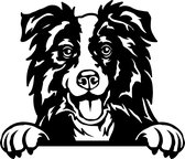 Sticker - Glurende Hond - Border Collie - Zwart - 25x20cm - Peeking Dog